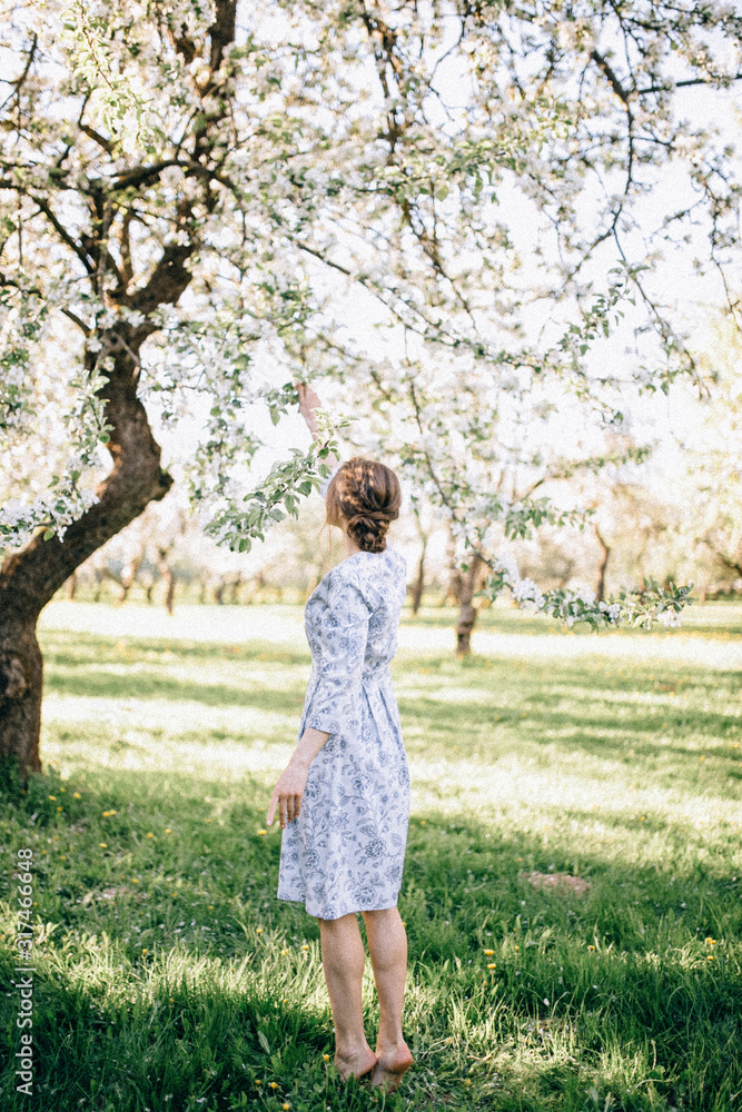 Beautiful young long-haired girl near blooming apple trees in spring Beautiful young long-haired girl near blooming apple trees in spring