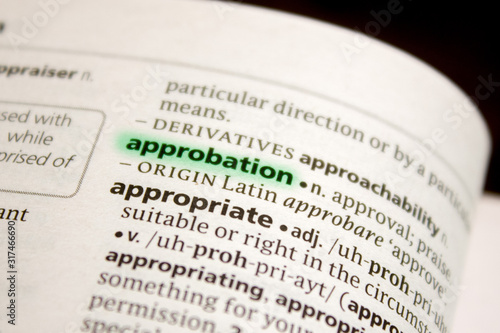 Approbation word or phrase in a dictionary. photo