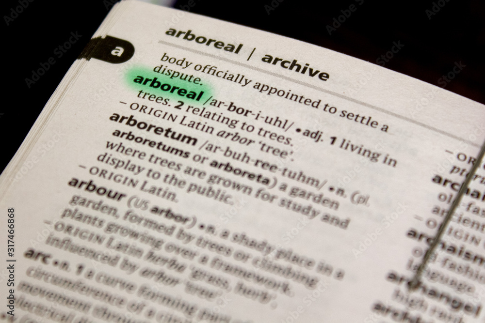 Fototapeta premium Arboreal word or phrase in a dictionary.