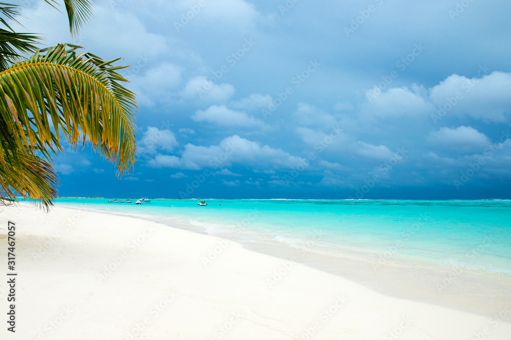 Fototapeta premium blue sea and beautiful sky. sea beach