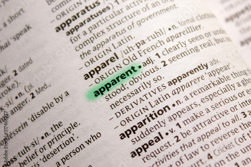 Obraz na plátně Apparent word or phrase in a dictionary.