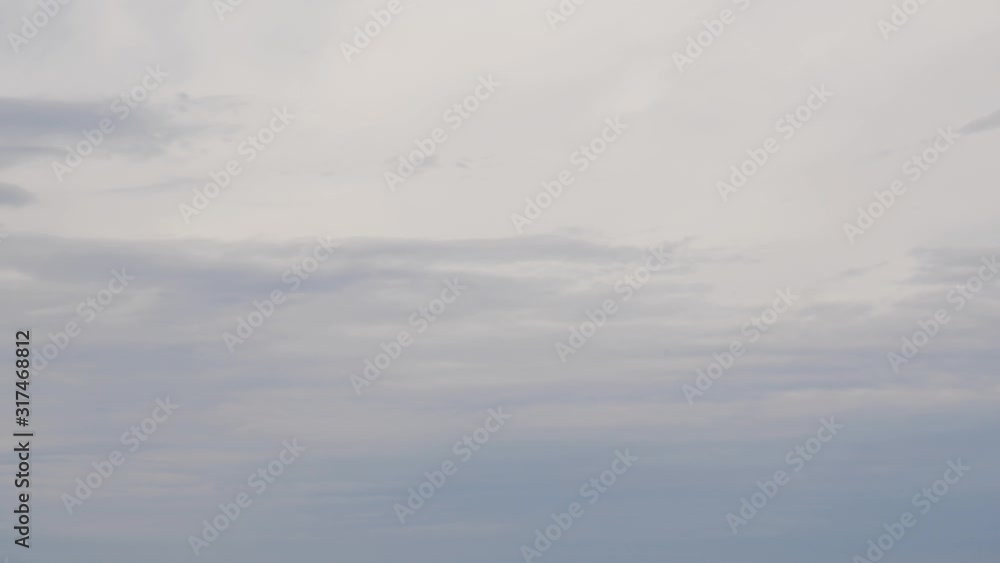 a flock of gulls hovers in the sky close to the camera a flock of gulls hovers in the sky close to the camera