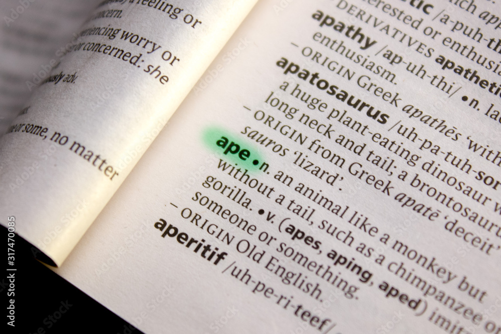 Ape word or phrase in a dictionary. Ape word or phrase in a dictionary.
