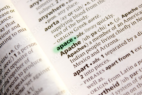 Apace word or phrase in a dictionary.