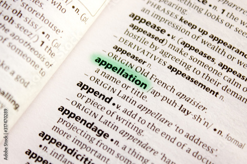 Appellation word or phrase in a dictionary.