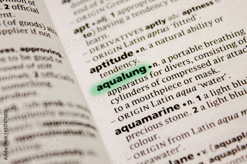 Aqualung word or phrase in a dictionary.