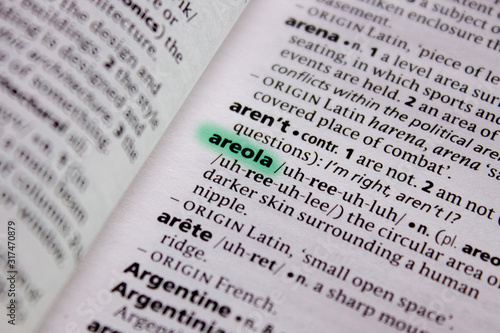 Areola word or phrase in a dictionary.