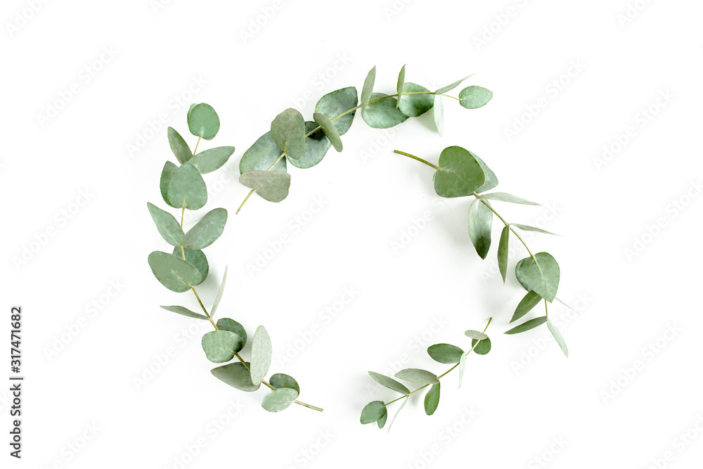 frame with branches eucalyptus isolated on white background. lay flat, top view frame with branches eucalyptus isolated on white background. lay flat, top view