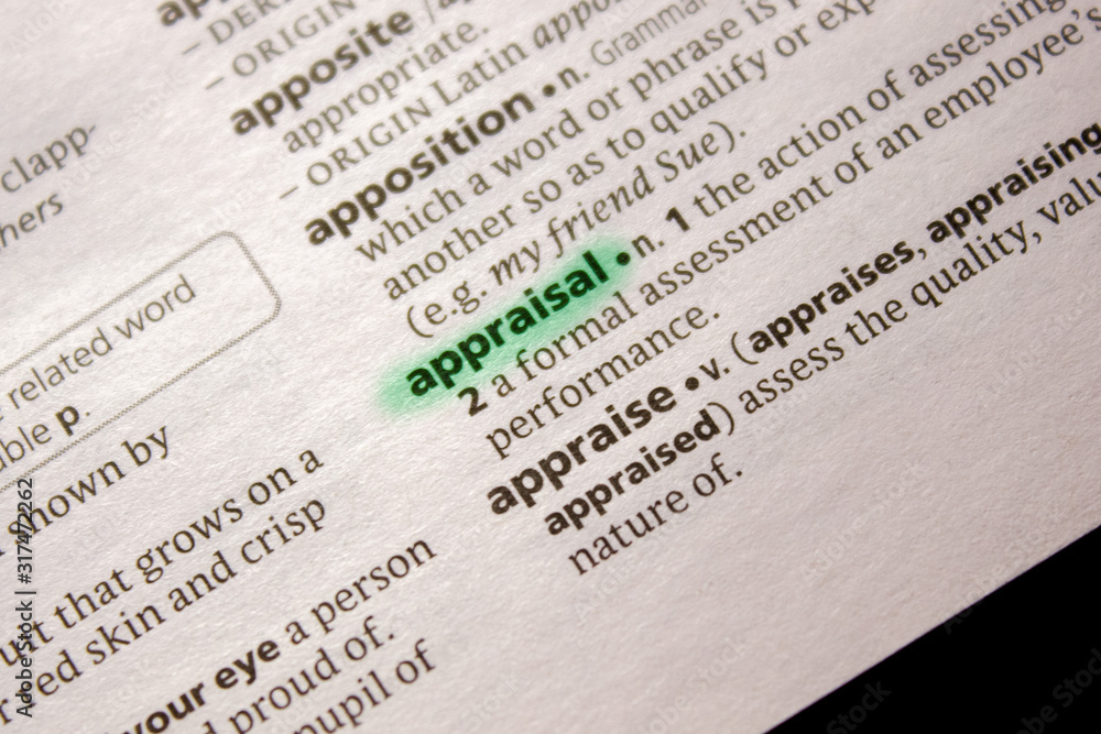 Fototapeta premium Appraisal word or phrase in a dictionary.