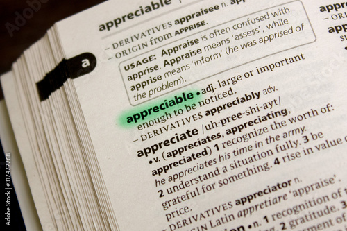 Appreciable word or phrase in a dictionary.