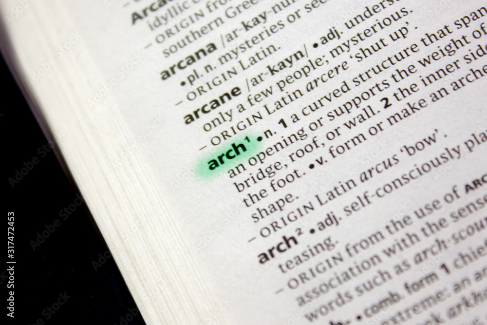 Arch word or phrase in a dictionary.