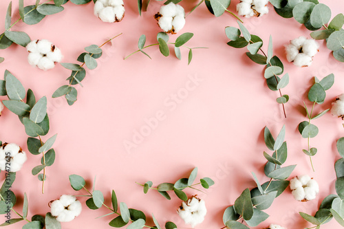 Frame made of branches, leaves eucalyptus and cotton isolated on pink background. Flat lay, top view minimal concept with empty place for text.