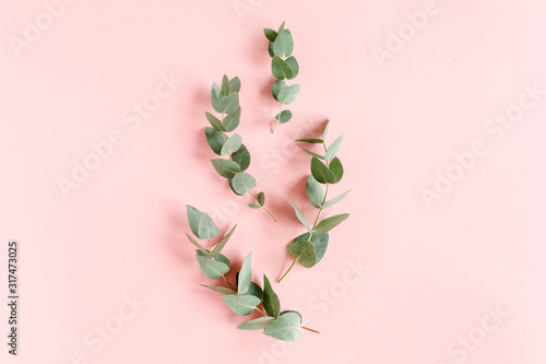 Abstract pattern made of branches eucalyptus, leaves isolated on pink background. lay flat, top view