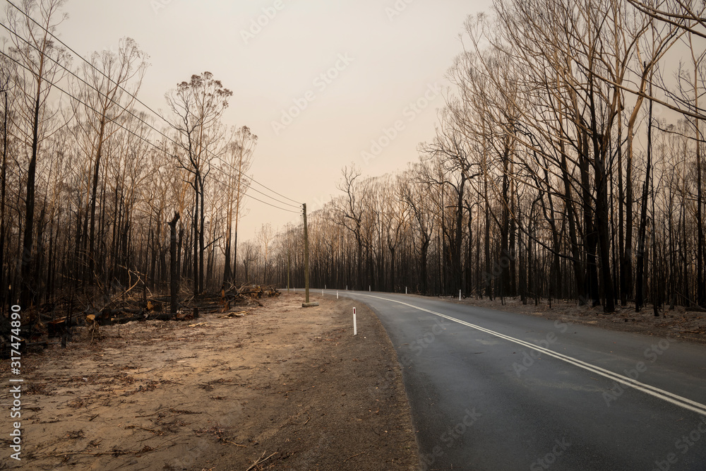 Australian bushfire Australian bushfire