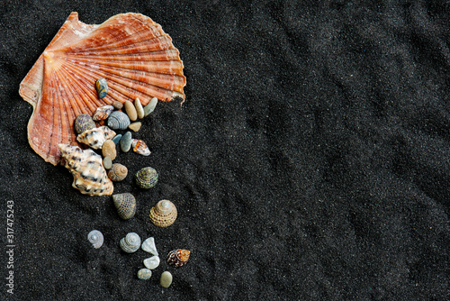 Summer beach background of black sand with various seashells and stones