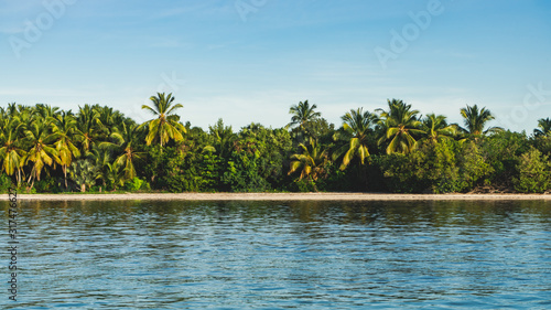 Fototapeta Naklejka Na Ścianę i Meble -  Tropical Landscape of Sea Palm Trees and Sky in Dominican Republic