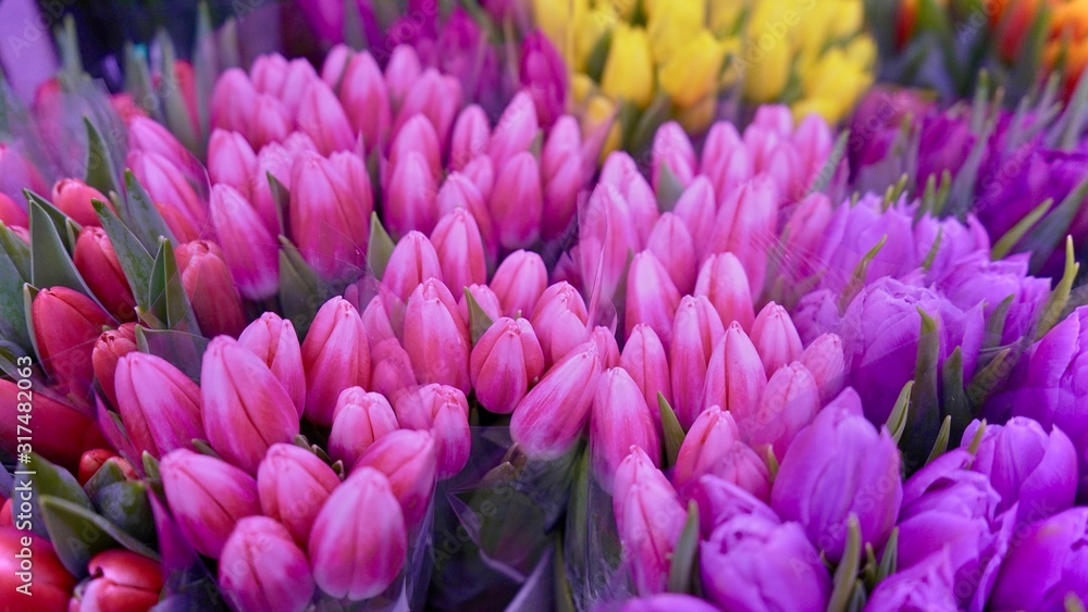 Beautiful colorful tulips in a flower shop macro shot close up. Floral theme