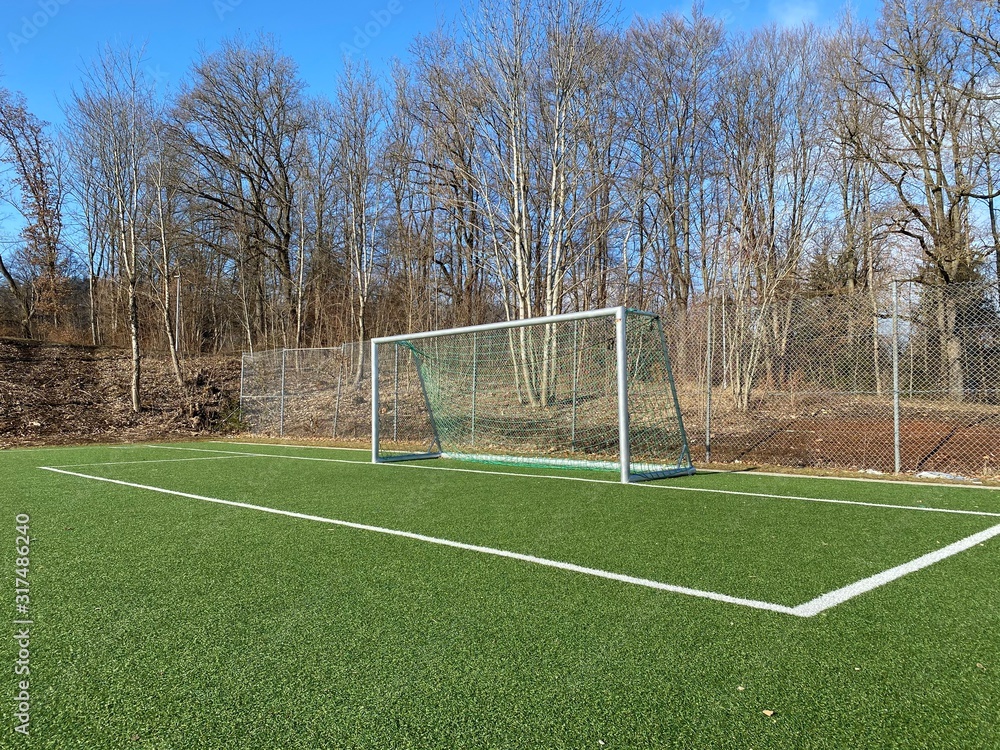 Fototapeta premium soccer ball on field
