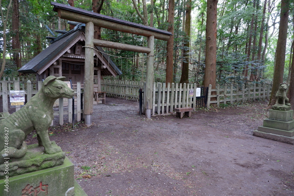 Fototapeta premium 秩父の神社