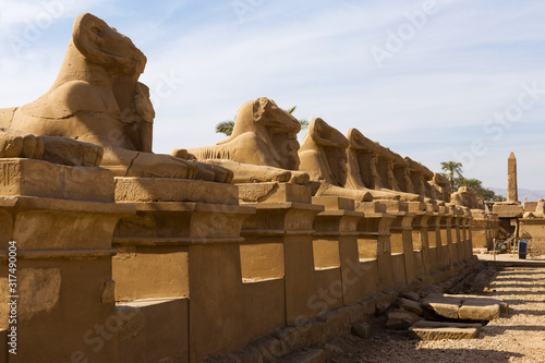 Fragment of the alley of the Sphinxes in the Karnak Temple  Luxor  Egypt.