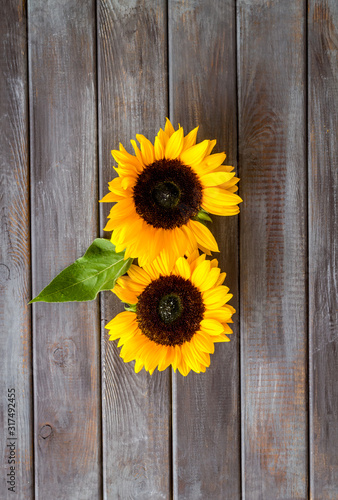 Sunflowers - two flowers and leaf -on dark wooden background top-down