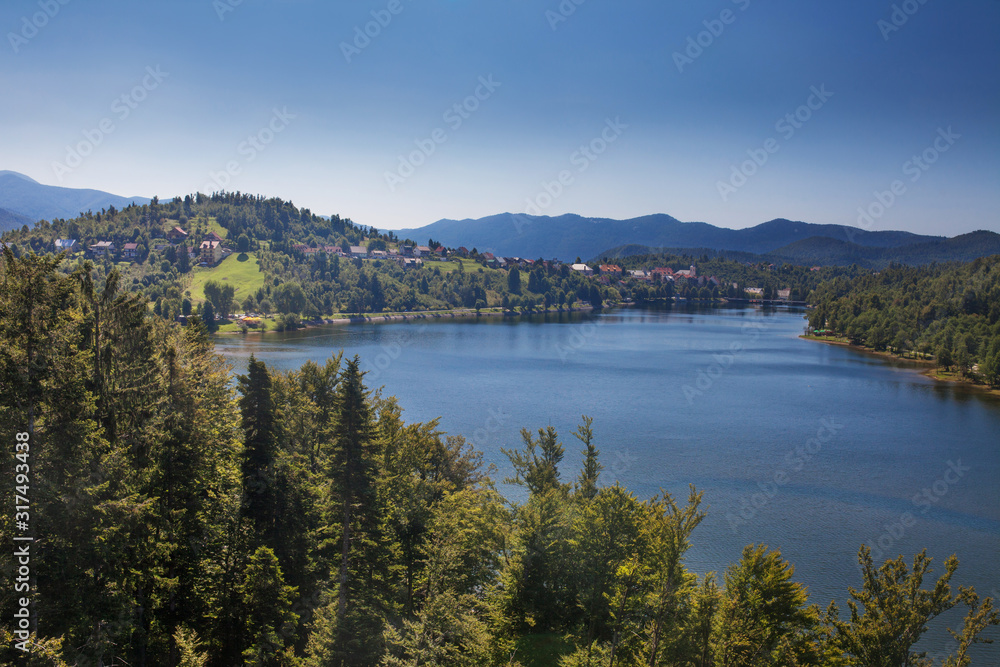 Beautiful natural scenery of river in Europe green forest with mountains in background