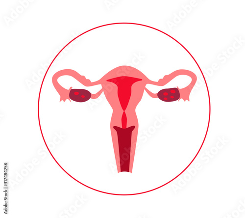 Woman reproductive system. Woman health. Reproduction. Egg donation. In vitro fertilization. Vector illustration.
