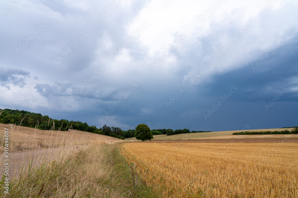 Obraz premium Campagne ciel couvert