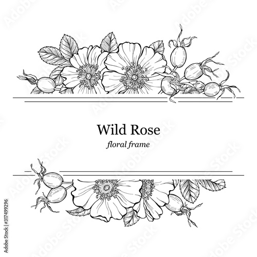 Wild rose flowers and berries frame, line art drawing. Floral border template with dog rose boquets. Vector illustration