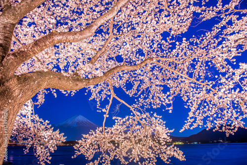 Mt. Fuji, Japan on Lake Kawaguchi in Spring photo