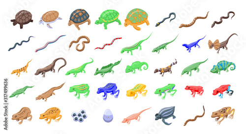 Reptiles and amphibians icons set. Isometric set of reptiles and amphibians vector icons for web design isolated on white background
