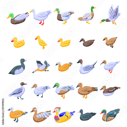 Duck icons set. Isometric set of duck vector icons for web design isolated on white background