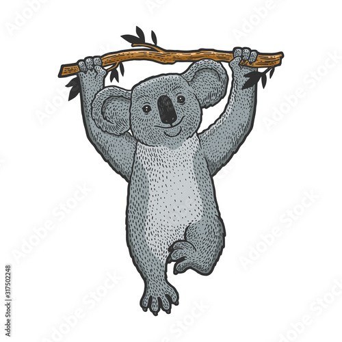 Koala bear animal on tree sketch engraving vector illustration. T-shirt apparel print design. Scratch board imitation. Black and white hand drawn image.