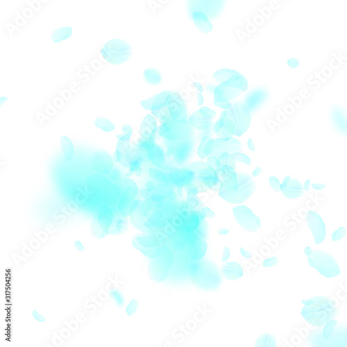 Turquoise flower petals falling down. Fetching rom