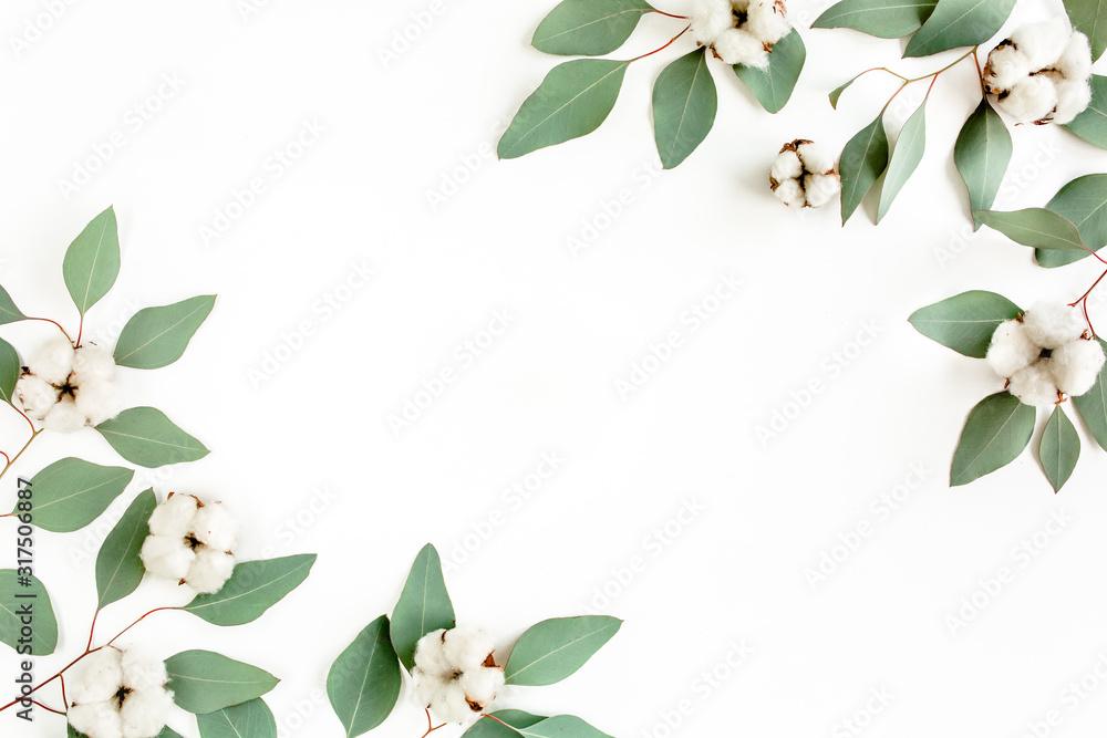 Leaves eucalyptus and cotton frame borders on white background with empty space for text. Flat lay, top view. floral concept Leaves eucalyptus and cotton frame borders on white background with empty space for text. Flat lay, top view. floral concept