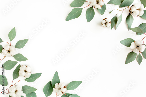 Leaves eucalyptus and cotton frame borders on white background with empty space for text. Flat lay  top view. floral concept