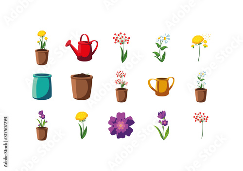 Flowers and pots vector design