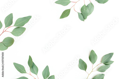 Leaves eucalyptus frame borders on white background with empty space for text. Flat lay, top view. floral concept