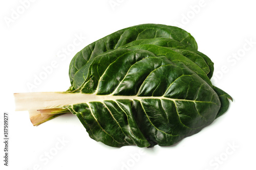 fresh green chard isolated on white background