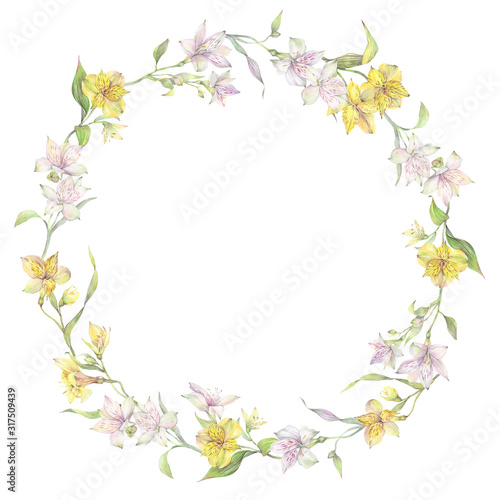Floral round wreath of yellow and white alstroemeria flowers. Hand drawn watercolor illustration.