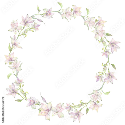 Floral round wreath of white alstroemeria flowers. Hand drawn watercolor illustration.