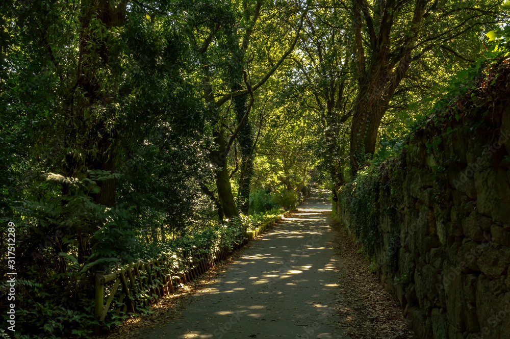 Parque da Lavandeira or Quinta da Condessa, located in Oliveira do Douro, V. N. de Gaia, Portugal. It is currently a public and urban park. Great for walking routes, picnic areas and themed gardens. Parque da Lavandeira or Quinta da Condessa, located in Oliveira do Douro, V. N. de Gaia, Portugal. It is currently a public and urban park. Great for walking routes, picnic areas and themed gardens.