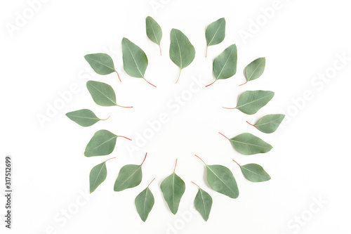 Round frame made green leaves eucalyptus populus isolated on white background. Flat lay, top view