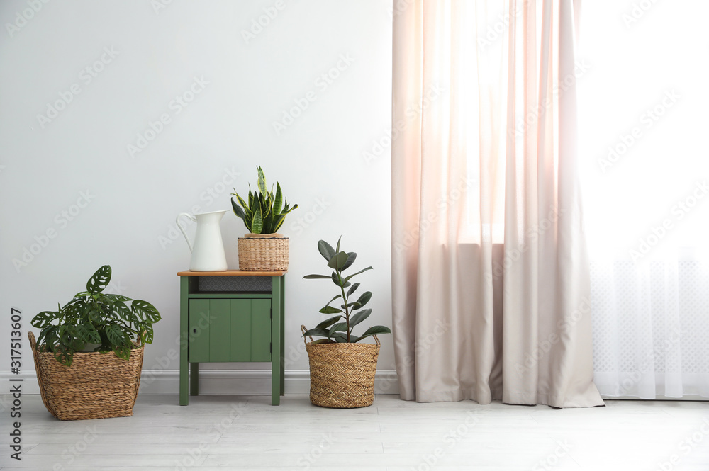 Different tropical plants in wicker pots near white wall at home Different tropical plants in wicker pots near white wall at home
