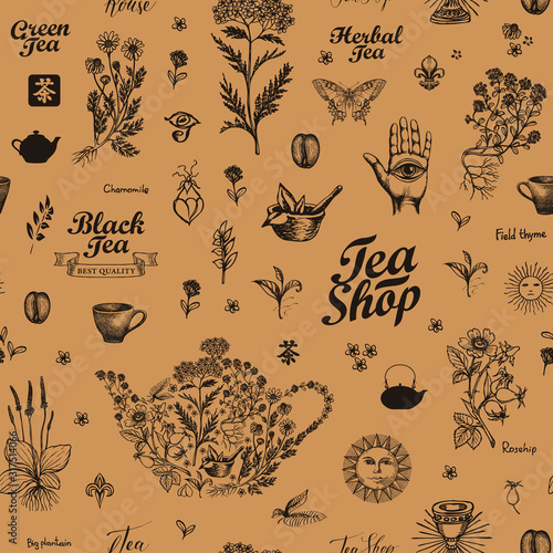 Vector seamless pattern with medicinal herbs and inscriptions. Hand-drawn background on tea theme in retro style. Suitable for wallpaper, wrapping paper, fabric. Chinese hieroglyph Tea