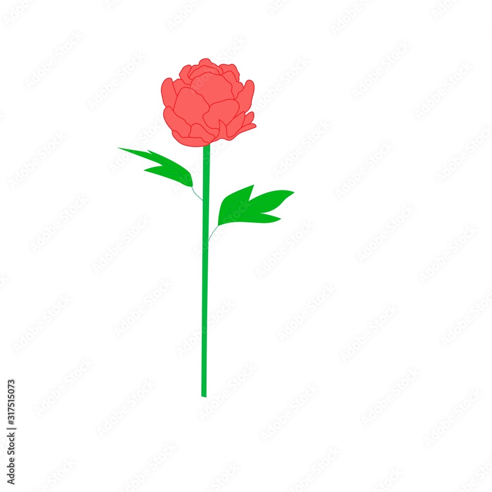 Hand drawn flower with leaves Flower isolated on white background. Botanical organic spring herb. in doodle For cards and labels, books and banners. Hand drawn flower with leaves Flower isolated on white background. Botanical organic spring herb. in doodle For cards and labels, books and banners.