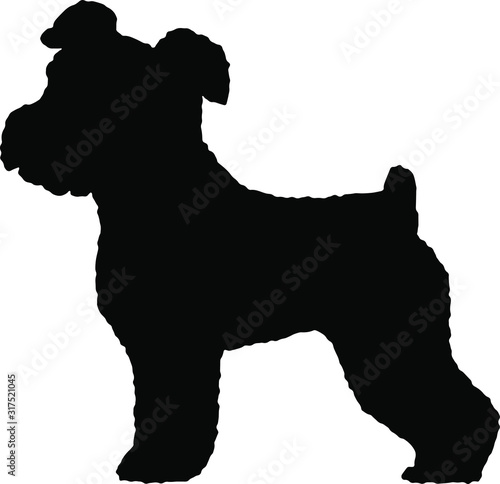 Fluffy edged silhouette of Miniature Schnauzer