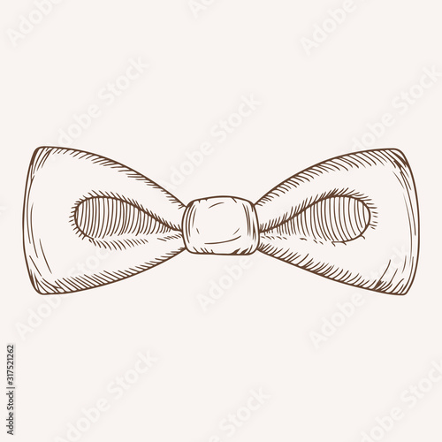 Elegant male bow tie hand drawn illustration