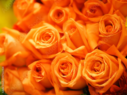 Orange  Old rose color rose flower arrangement Beautiful bouquet on blurred of nature background symbol love Valentine Day