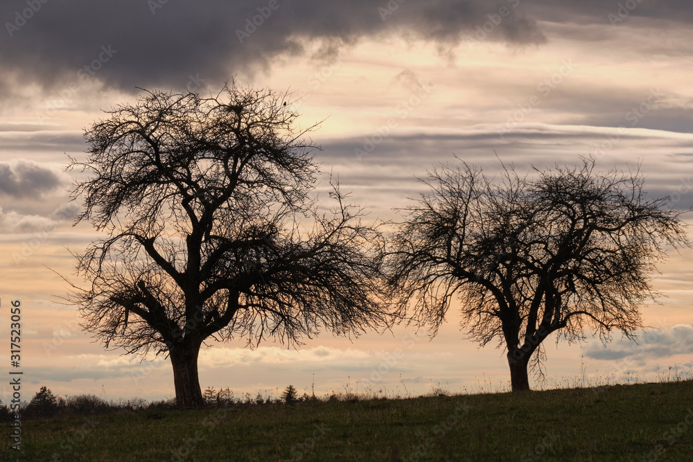 A moody evening sky above two bare trees on a field in the countryside. Seen in Germany in March A moody evening sky above two bare trees on a field in the countryside. Seen in Germany in March